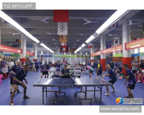 深入分析成都乒乓球队进攻战术与技术特点的全景解读